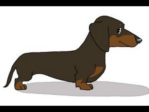 480x360 How To Draw A Dachshund