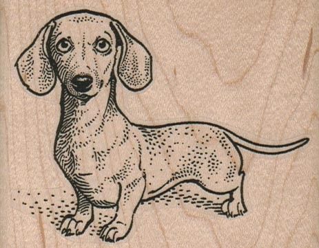 463x361 Dachshund Rubber Stamps Wiener Dog 3 14 X 2 12