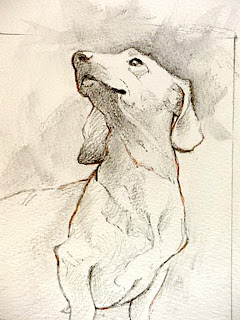 240x320 16ds Lavjjmudx 9ik Jliaaaaaaaag94