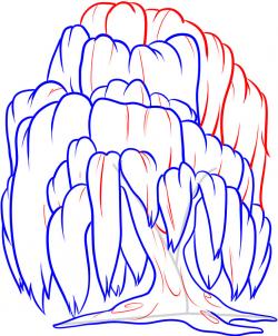 250x302 How To Draw How To Draw A Willow Tree, Weeping Willow