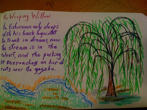 500x375 Weeping Willow Poem A Student Saw My Drawing
