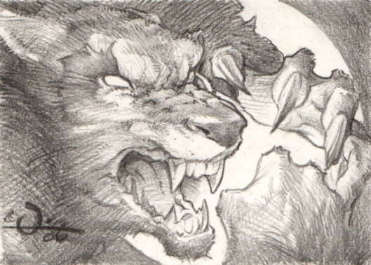 529x378 Werewolf Pencil Drawing, In The October 2006 Halloween And Horror