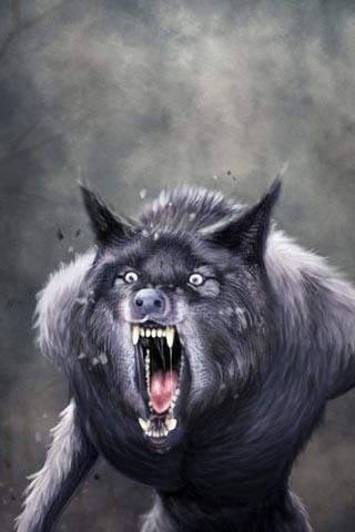320x480 We Have Drawing Lycan Face Realisticltbrgt Lesson How To Draw