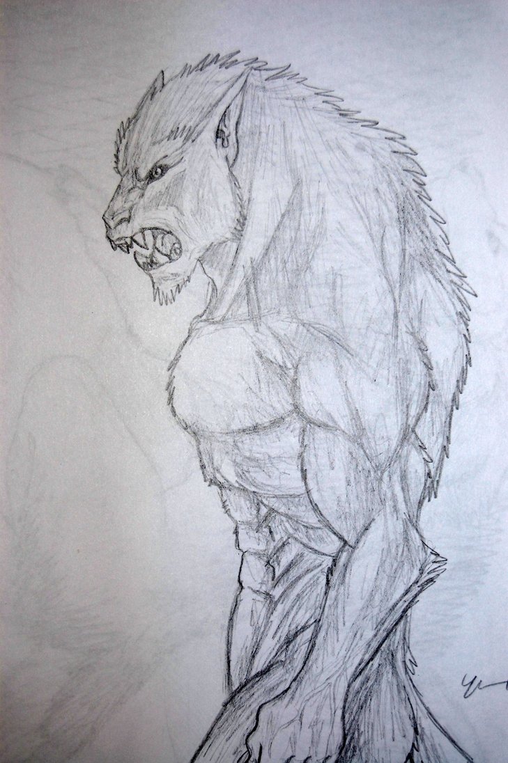 729x1096 Werewolf Drawing 15 By Tribalwolfie