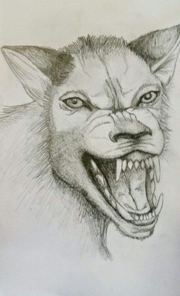 624x1024 Werewolf Drawing Creature Vault Harry Potter Amino