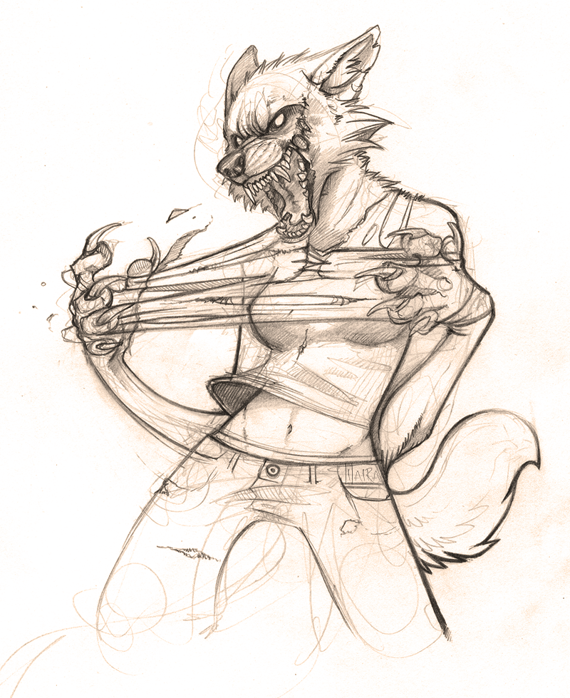 800x979 Werewolf Female Sketch ~lilaira Sevas Tra