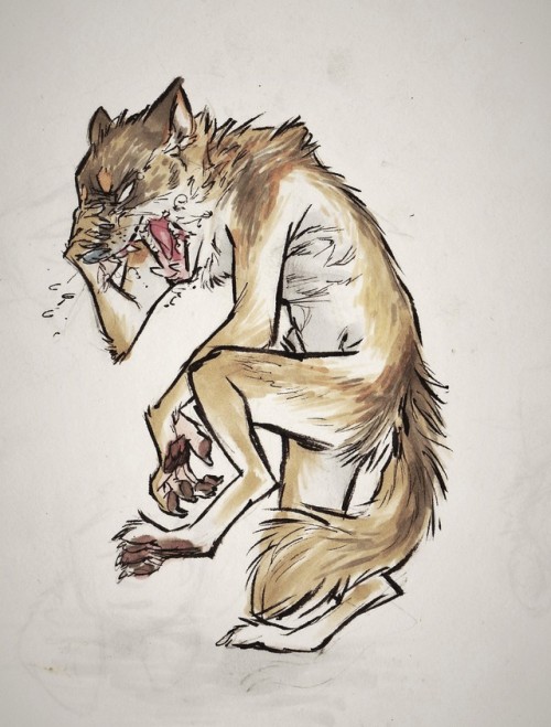 500x659 Cute Werewolves Tumblr