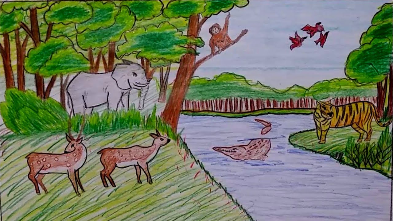 Wetland Drawing at GetDrawings | Free download