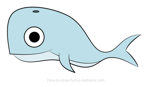 518x296 Whale Drawing (Sketching + Vector)