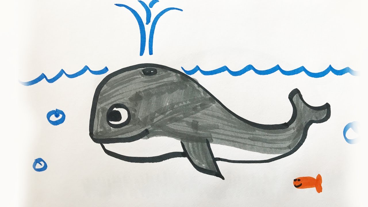 1280x720 How To Draw And Color A Whale For Kids!