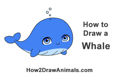 500x315 How To Draw A Whale (Cartoon)