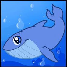 220x220 How To Draw How To Draw A Whale For Kids