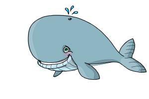 300x200 How To Draw A Whale For Kids