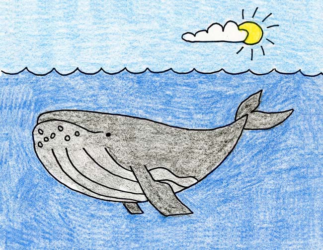 650x502 Humpback Whale