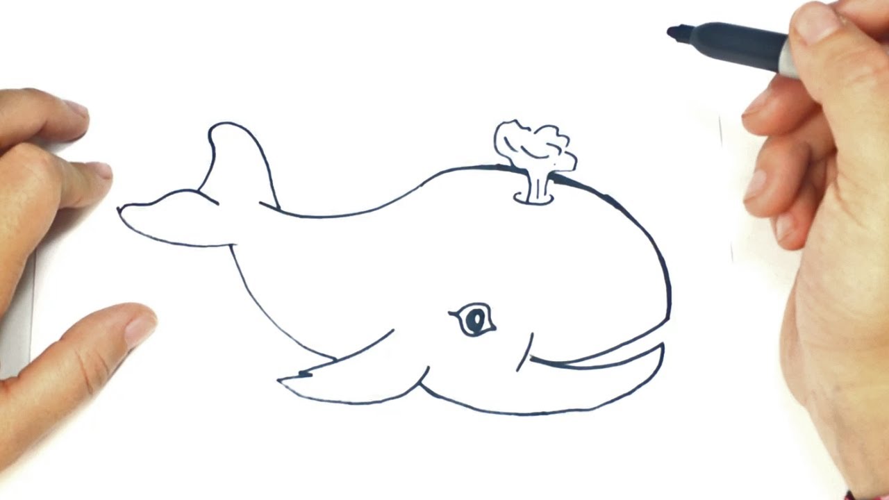 1280x720 How To Draw A Whale Step By Step Whale Drawing Lesson