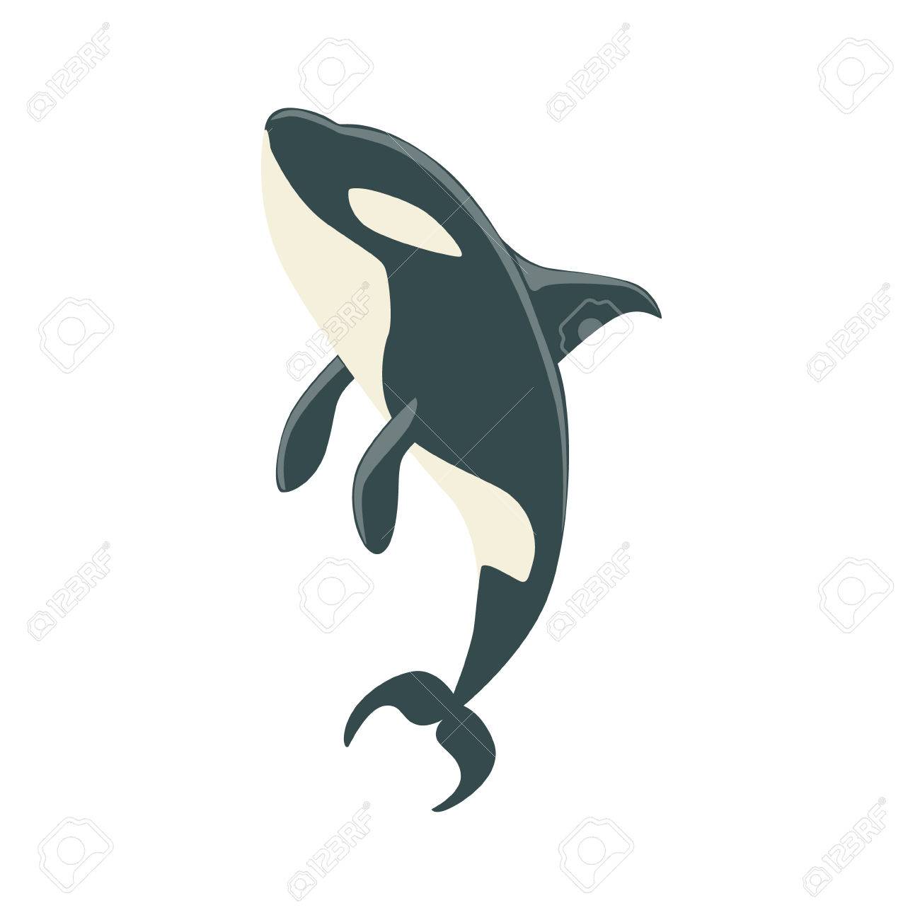 1300x1300 Orca Black And White Arctic Killer Whale Swimming, Realistic