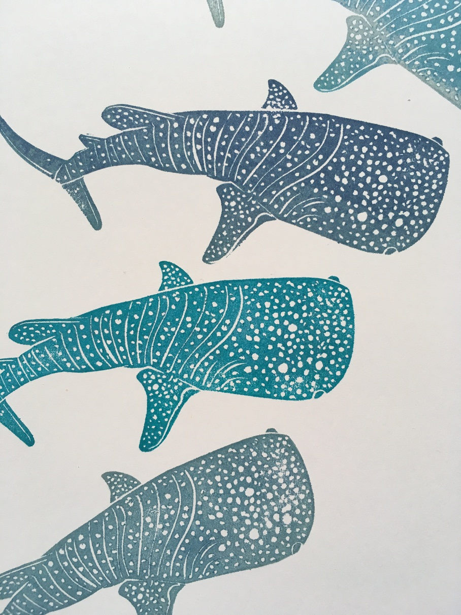 Whale Shark Drawing at GetDrawings | Free download