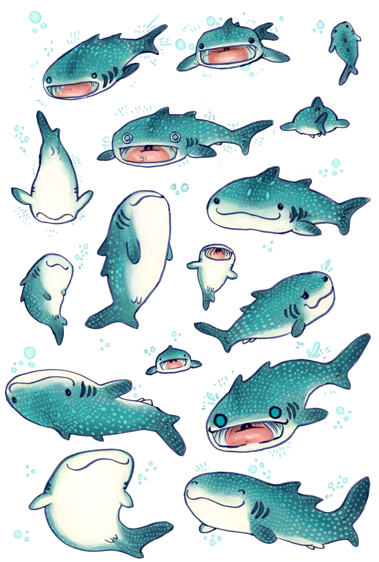 1280x1898 Eshkanscab These Are My Whale Sharks That I'M Selling On Things