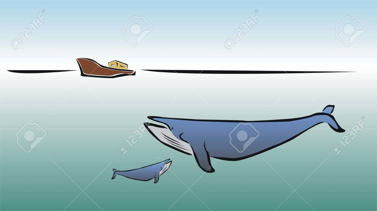 1300x727 Drawing Of Two Whales And A Boat Royalty Free Cliparts, Vectors