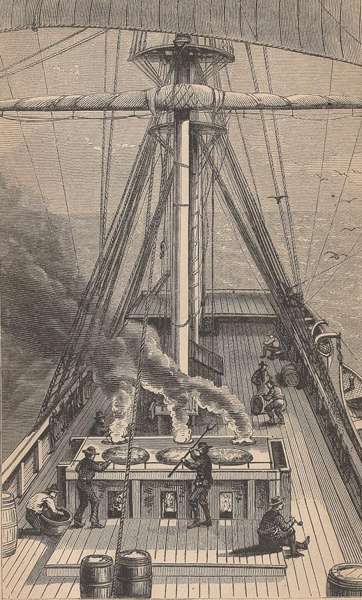519x861 Fileboiling Blubber On A Whaling Ship.jpg