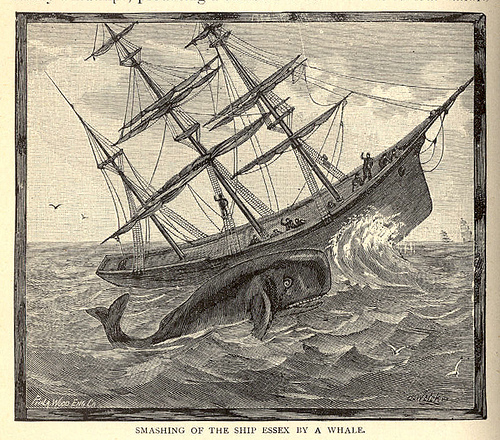 500x440 Smashing Of The Ship Essex By A Whale Ships, Artist And Ship