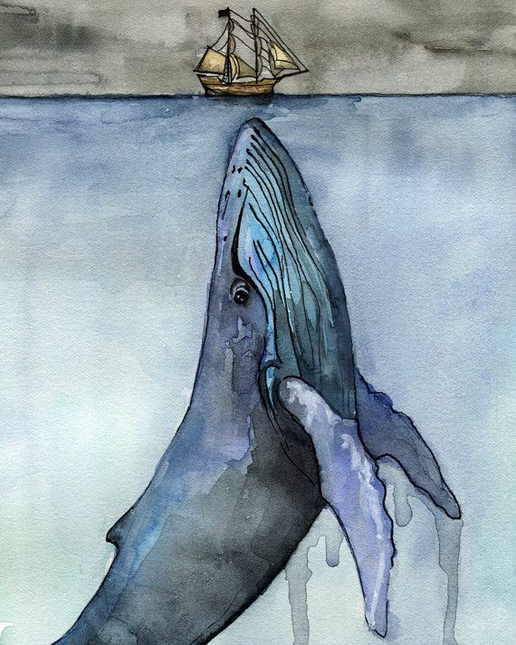 570x713 Whale Painting, Watercolor Painting, Whale Print, Whale And Boat