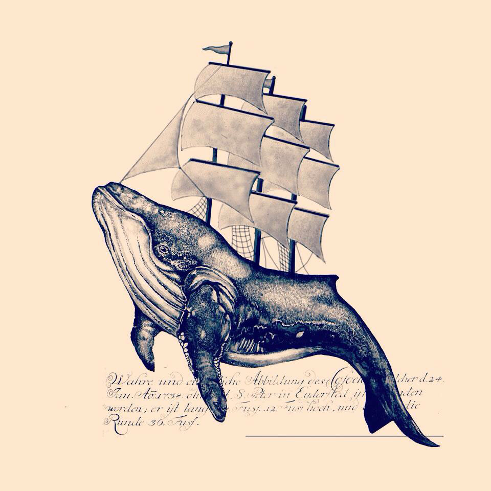 960x960 Whale Illustration Vintage