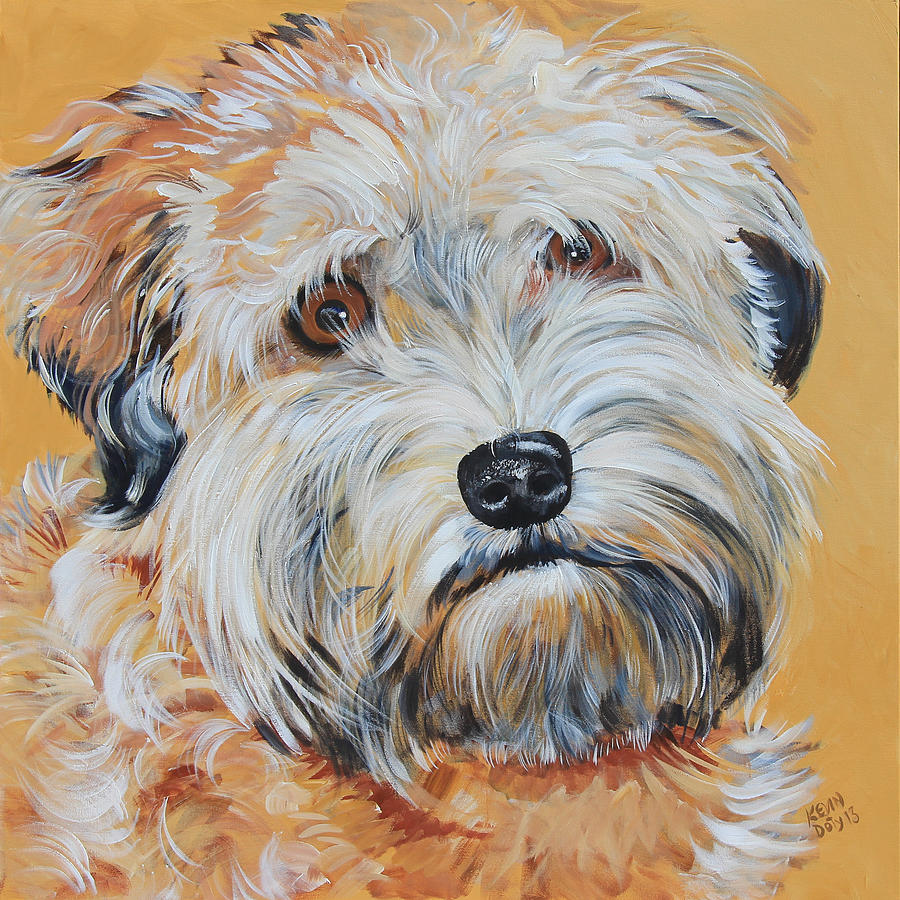 900x900 Bailey Soft Coated Wheaten Terrier Painting By Kevin Doty