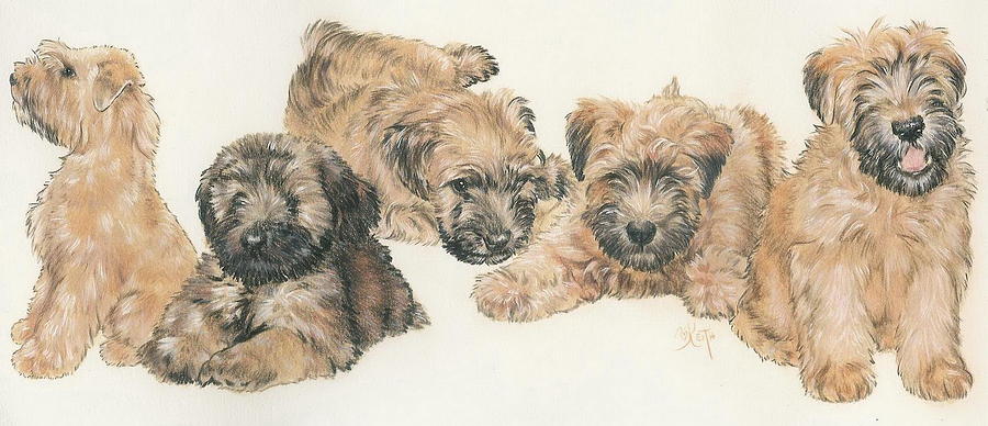 900x388 Soft Coated Wheaten Terrier Puppies Mixed Media By Barbara Keith