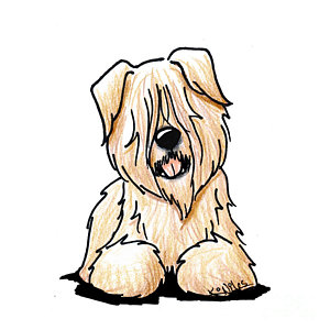 300x300 Wheaten Terrier Drawings Fine Art America