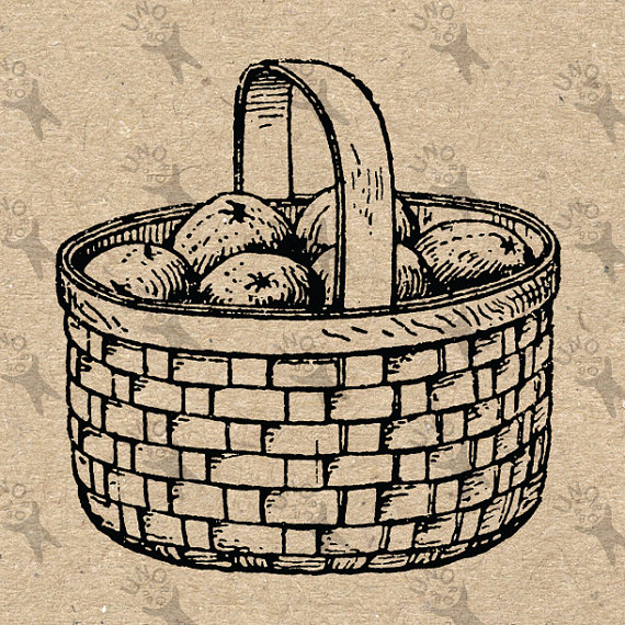 570x570 Vintage Image Wicker Basket Fruit Retro Drawing Instant Download