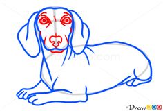 236x160 Drawing Of Dachshund Face How To Draw A Dachshund