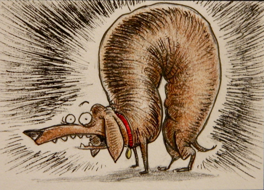 900x649 Frightened Wiener Dog Sketch Card For Sale By Thebigduluth