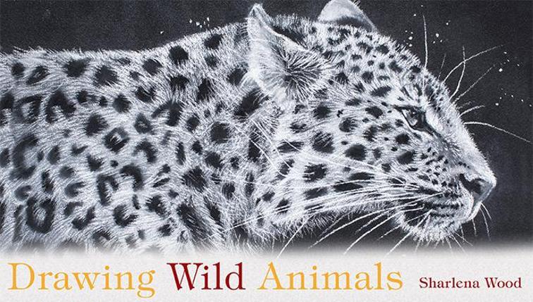756x429 Drawing Wild Animals Online Class Craftsy