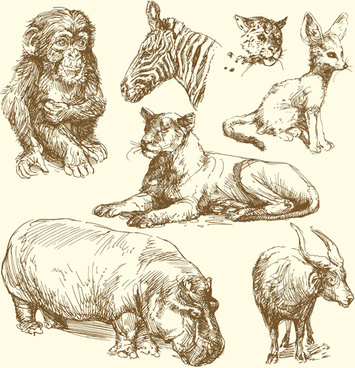 355x368 Hand Drawing Wild Animals Free Vector Download (96,346 Free Vector