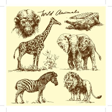 368x368 Line Wild Animal Drawings Free Vector Download (101,658 Free