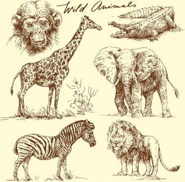 374x368 Hand Drawing Wild Animals Free Vector Download (96,346 Free Vector