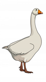 150x266 How To Draw Wild Animals, Drawing Ideas, Step By Step Free