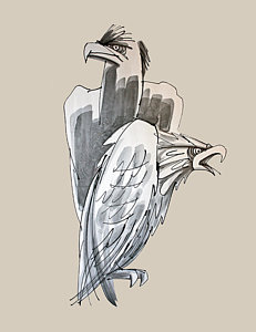 231x300 Wild Bird. Drawings