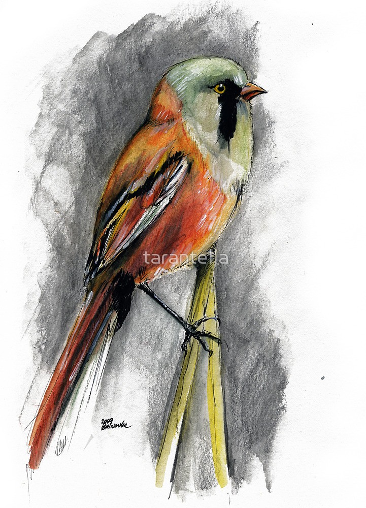 721x1000 Wild Bird Drawing By Tarantella Redbubble