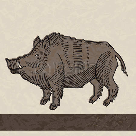 450x450 Wild Boar Drawing Stock Photos. Royalty Free Business Images