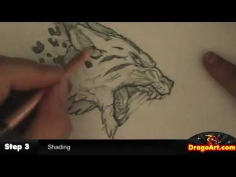 480x360 How To Draw A Wildcat, Tiger Lynx Sketch, Step By Step, In Pencil