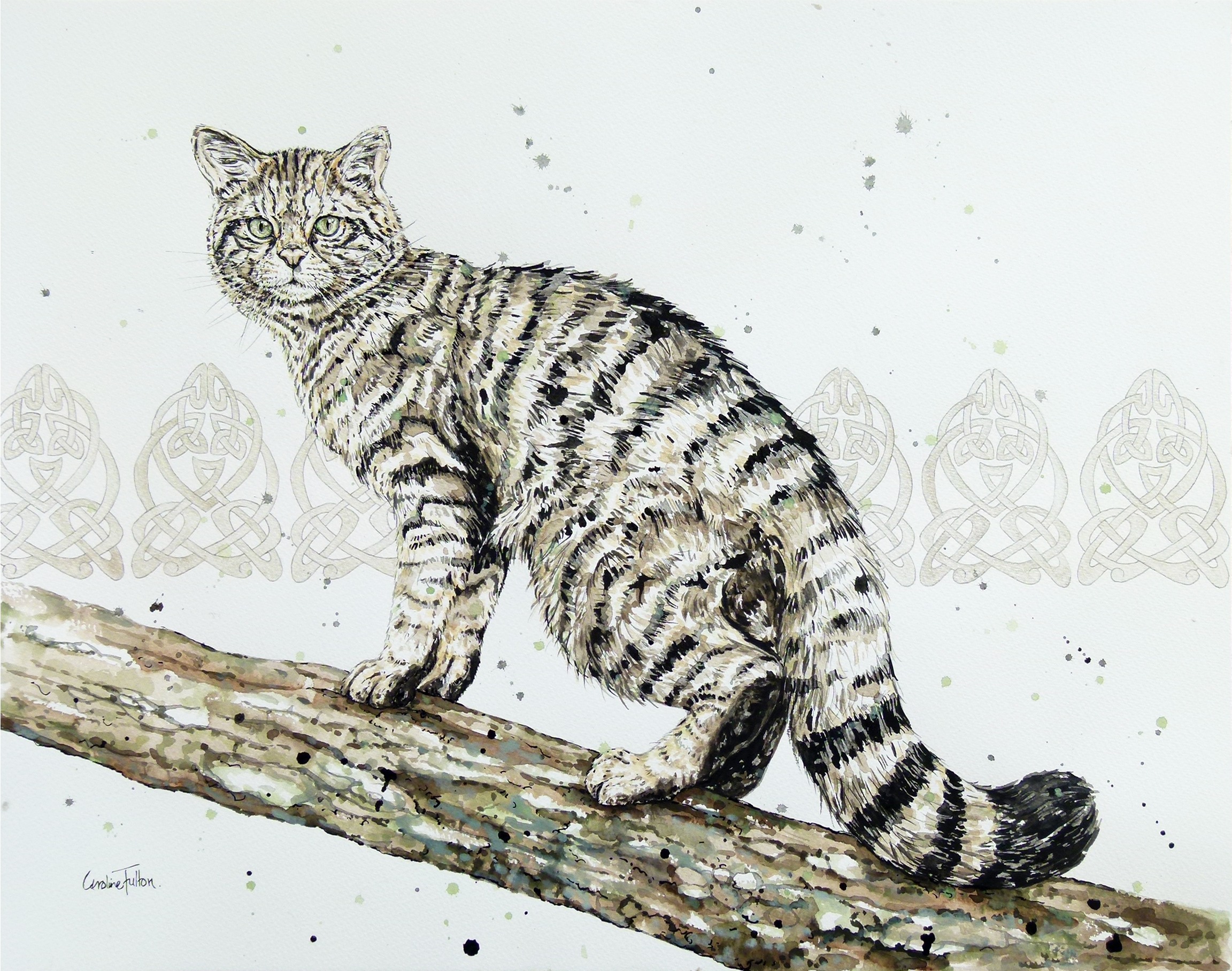 2304x1817 Leopards Cheetahs Lions Caroline Fulton Animal Painter Wildlife Art