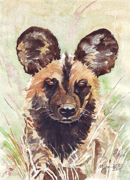 535x738 Art And Creativity African Wild Dog