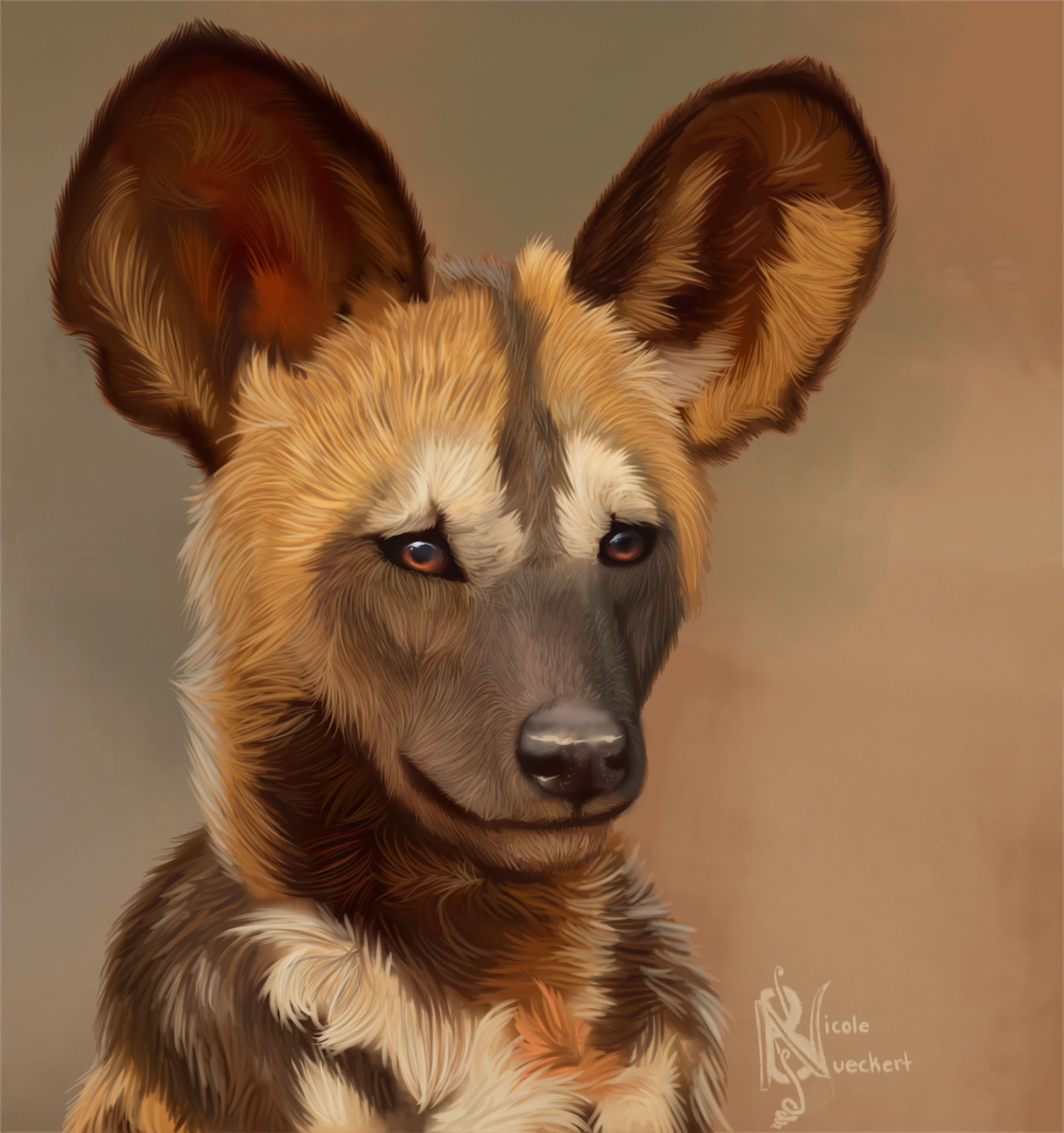 2100x2237 The African Wild Dog Shots Are Amazing. Description From Rainylake