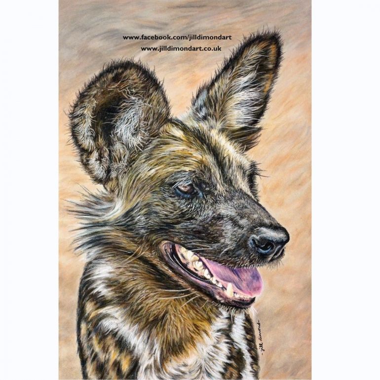 770x770 The Painted Dog