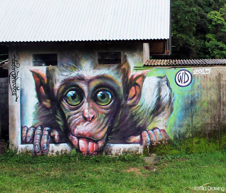 750x640 Green Day Monkey Streetart By Wild Drawing No. 621