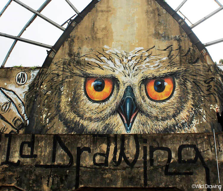 750x641 Owl Self Streetart By Wild Drawing No. 606