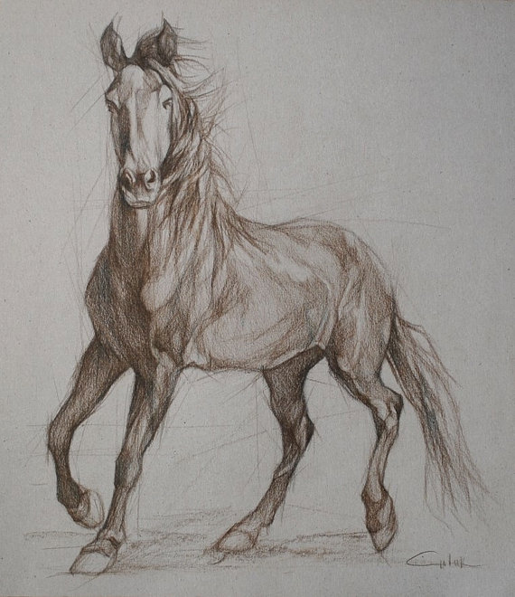 570x660 Wild Horse Full Front Silhouette In Sepia 2 By Petartportraits