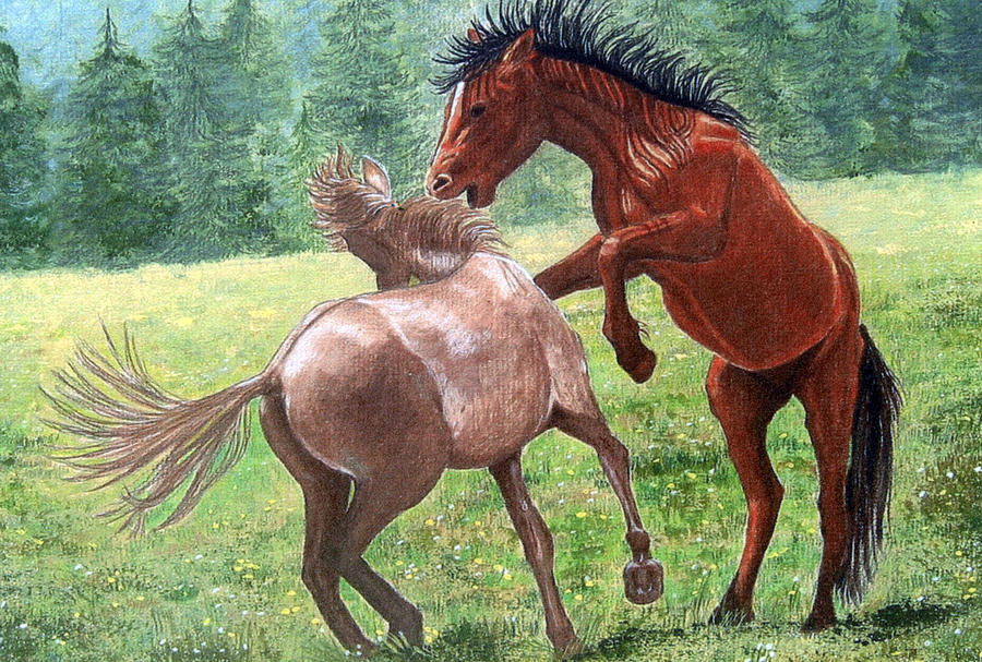 900x607 Wild Horses Drawing By Lorraine Foster